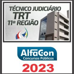 TRT 11ª REGIÃO - AM/RR (TÉCNICO JUDICIÁRIO - ÁREA ADMINISTRATIVA) PÓS EDITAL