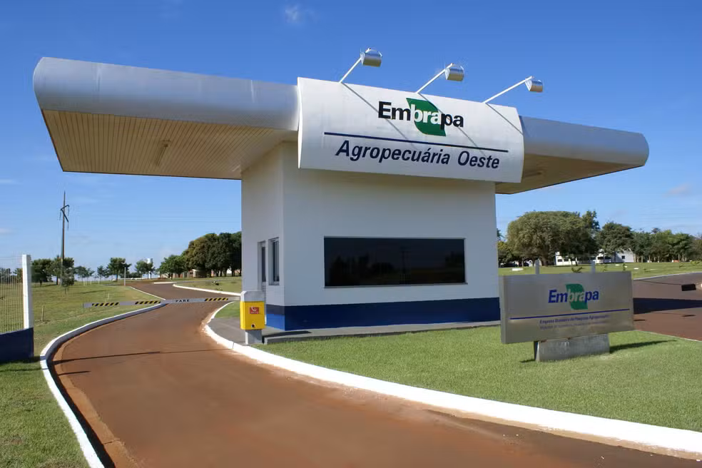 Concurso Embrapa 2025