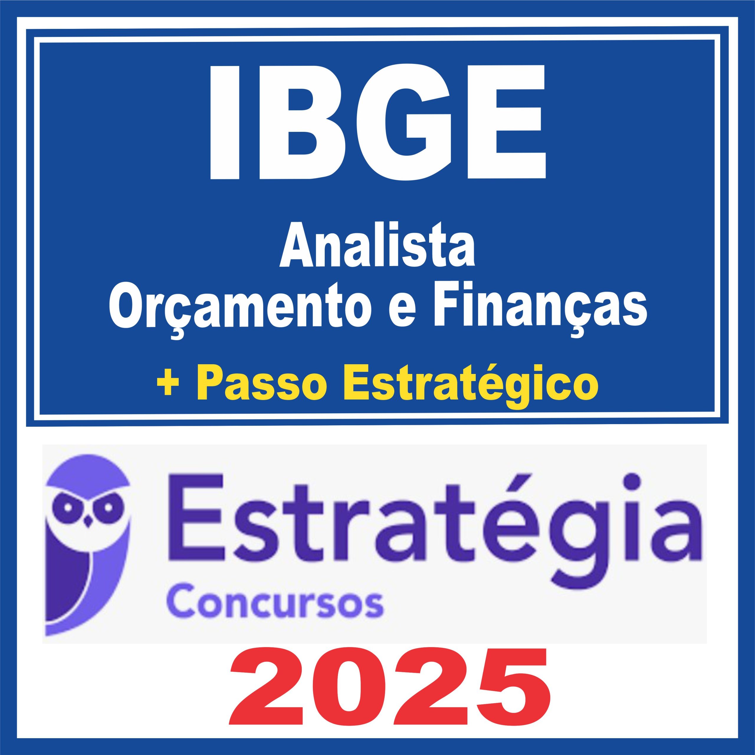 ibge-ana-orça-finan1