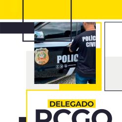 pc-go-delegado